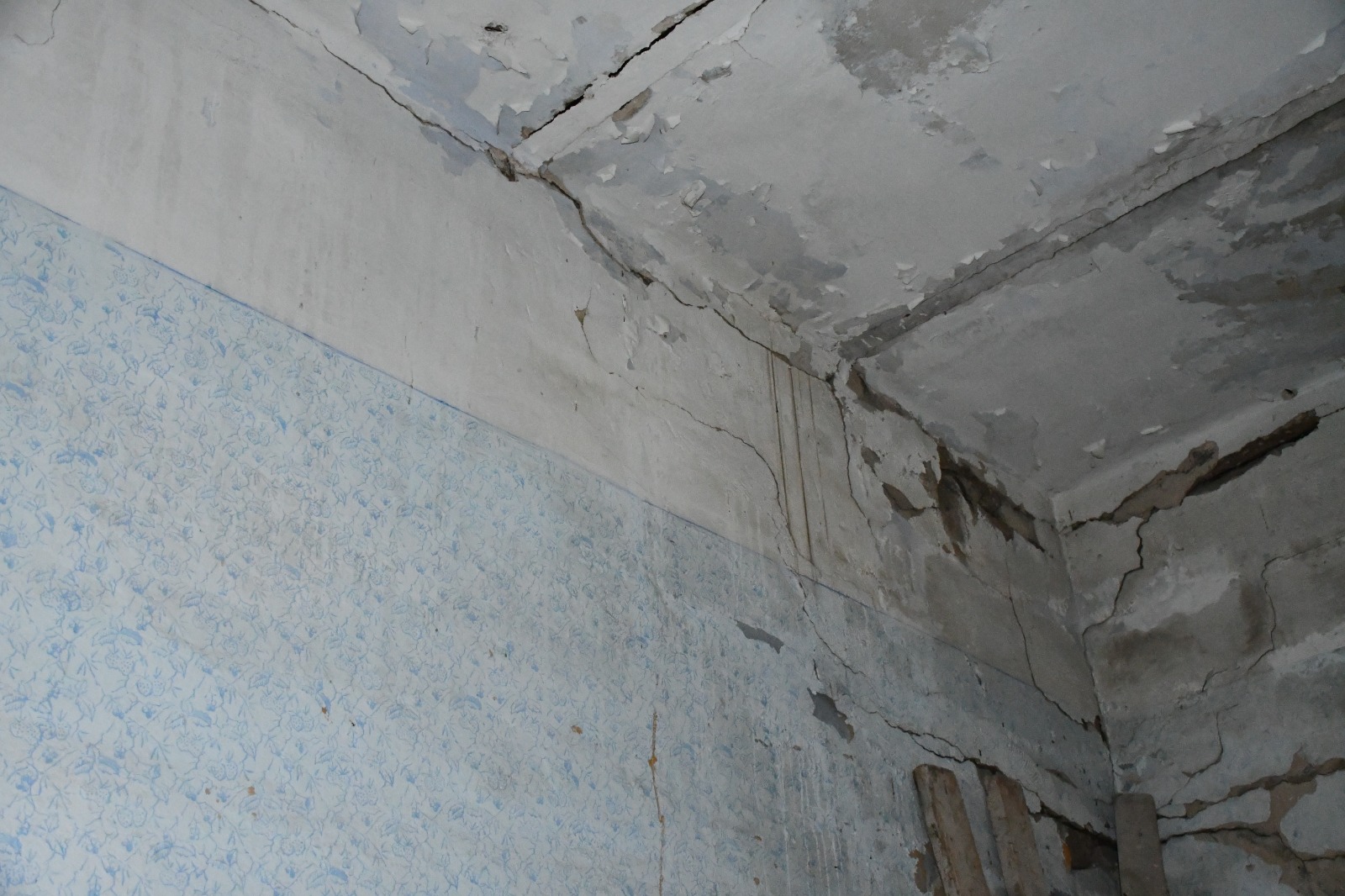 WhatsApp Image 2020-02-10 at 11.22.47 AM (2).jpeg.jpeg